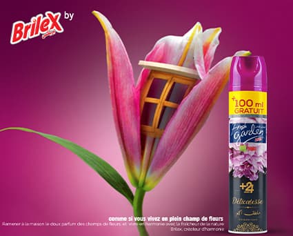 Désodorisant Lavande